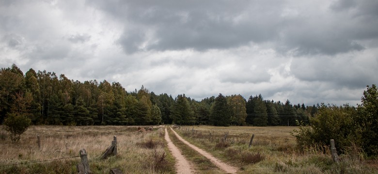 Pogoda na sobotę. Będzie cieplej, ale powieje