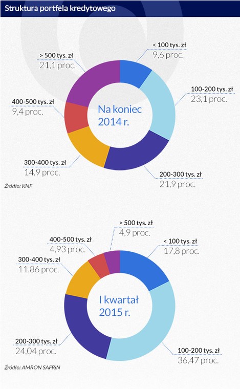 Struktyra portfela kredytowego (infografika Dariusz Gąszczyk)