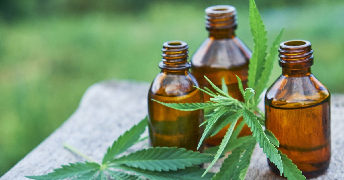 Does Hemp Oil Have Health Benefits? [ARTICLE] - Pulse Nigeria