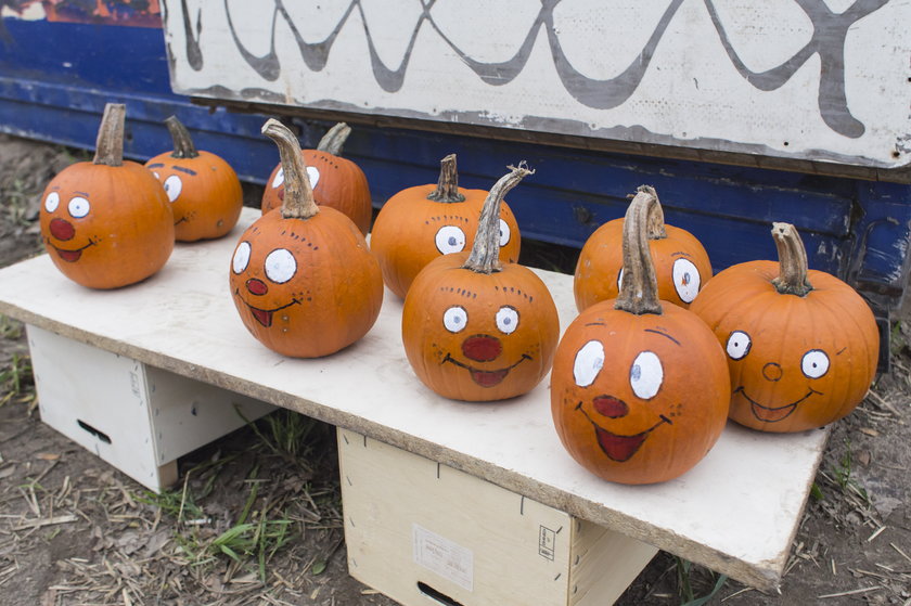 Zbliża się Halloween! Jak go spędzić w Poznaniu?