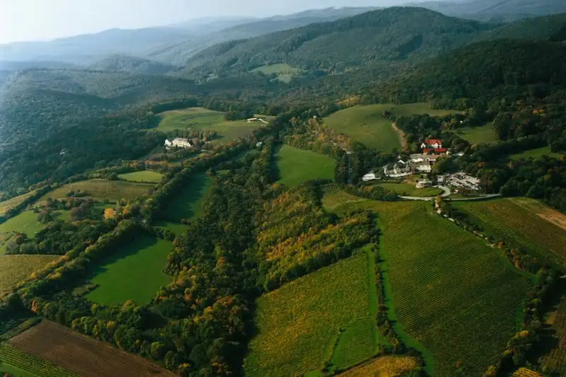 Widok na lasek wiedeński z lotu ptaka