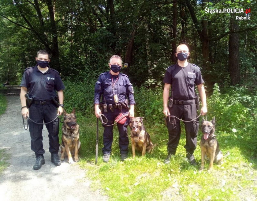 Wojsko i policja poszukują Sławomira