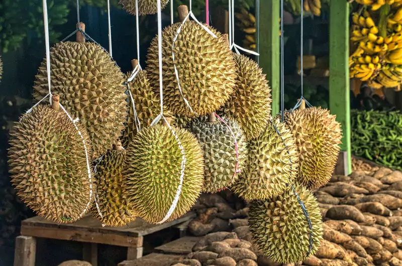 Durian owoc / Unsplash