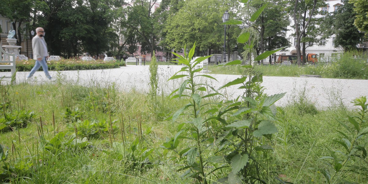 Park Sienkiewicza w Łodzi po remoncie do naprawy