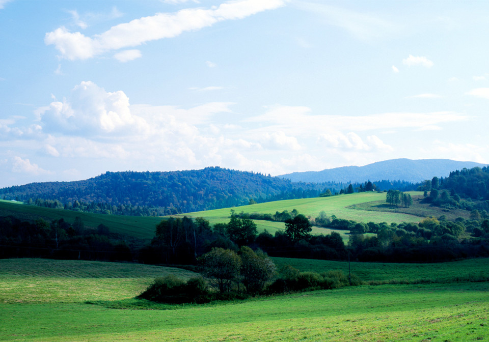 Bieszczady