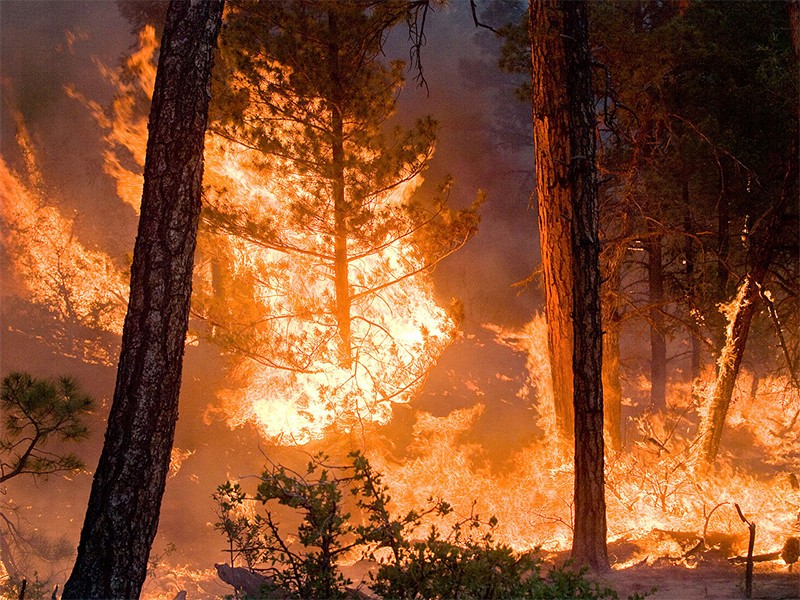 Niesamowite zdjęcia Ziemi udostępnione przez NASA