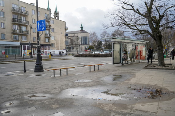 Plac Wilsona w Warszawie będzie bardziej zielony. Chcieli tego mieszkańcy!