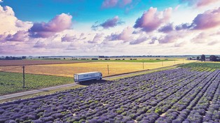 Najcenniejszy głos klienta!