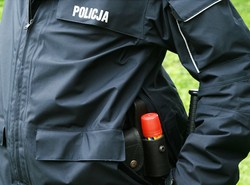 Myszy i mole zjedzą mundury warte miliony?