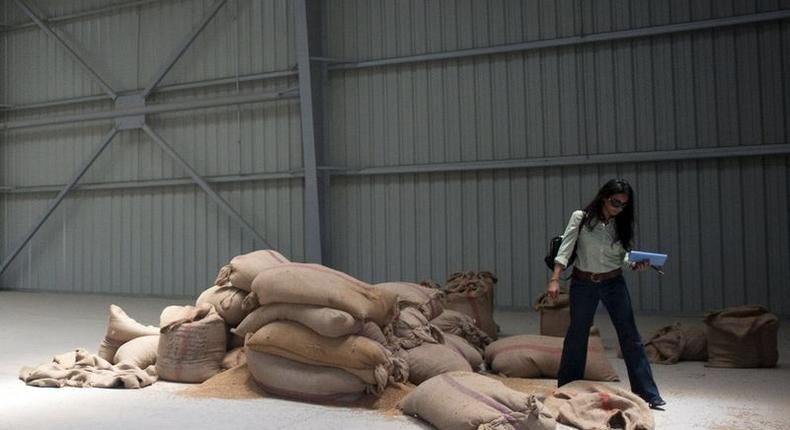 A woman walks near sacks filled with wheat in the inaugural warehouse of Egyptâ€™s new nationwide wheat storage system, designed by U.S. based Blumberg Grains, in Alexandria, Egypt, July 7, 2015. REUTERS/Shadi Bushra