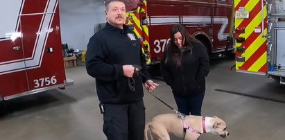 Strażak pracował przy katastrofie samolotu przewożącego 53 psy do adopcji. Przygarnął jednego z ocalałych czworonogów