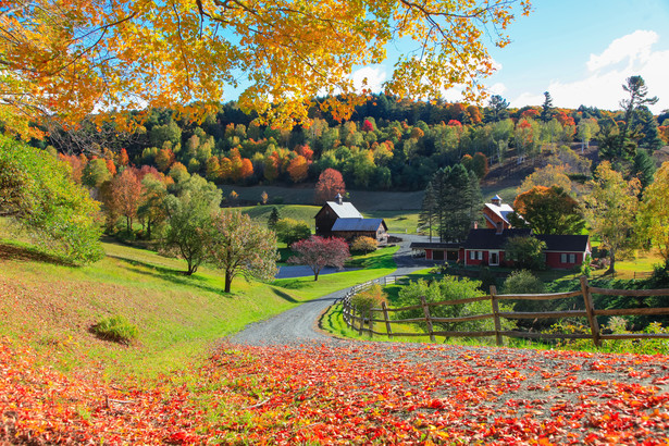 Sleepy Hollow Farm. Mieszkańcy miasta Pomfret mają dość turystów jesienią