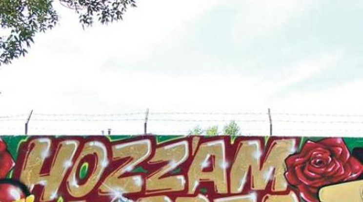 Graffitin kérte meg kedvese kezét Péter