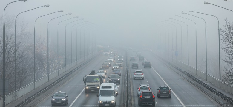 Rakotwórczy pył drogowy w centrum Warszawy. Naukowczyni bije na alarm