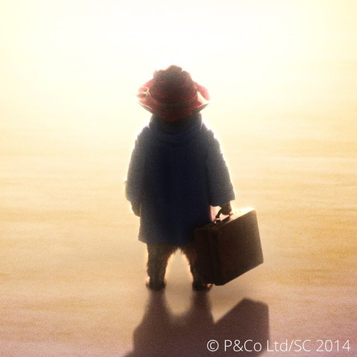 'Miś Paddington' wkracza na ekrany