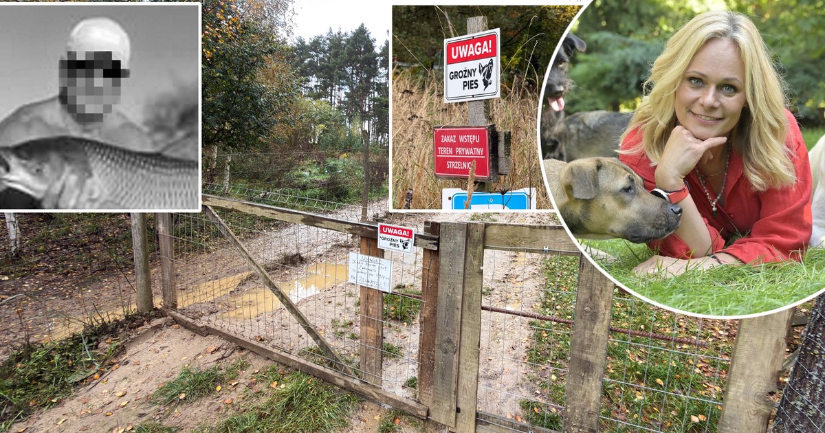 Ekspertka o ataku psów pod Zieloną Górą. "Grzybiarz nie miał żadnych szans"