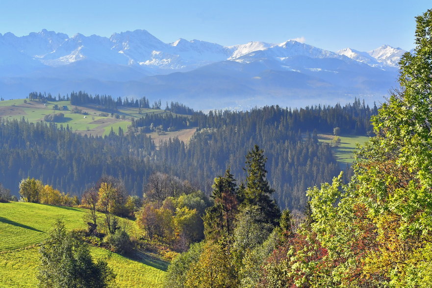 Widok z Bukowiny Tatrzańskiej na Tatry