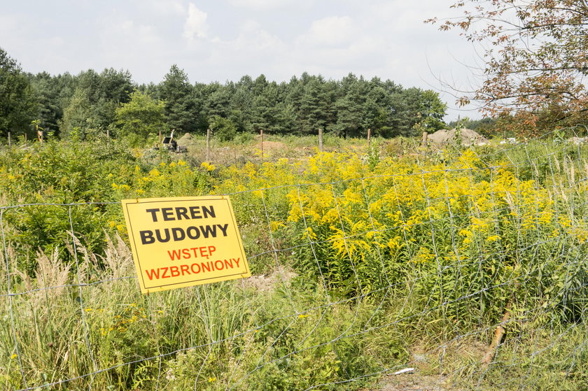 W Katowicach wycięto ponad 700 drzew pod budowę osiedla