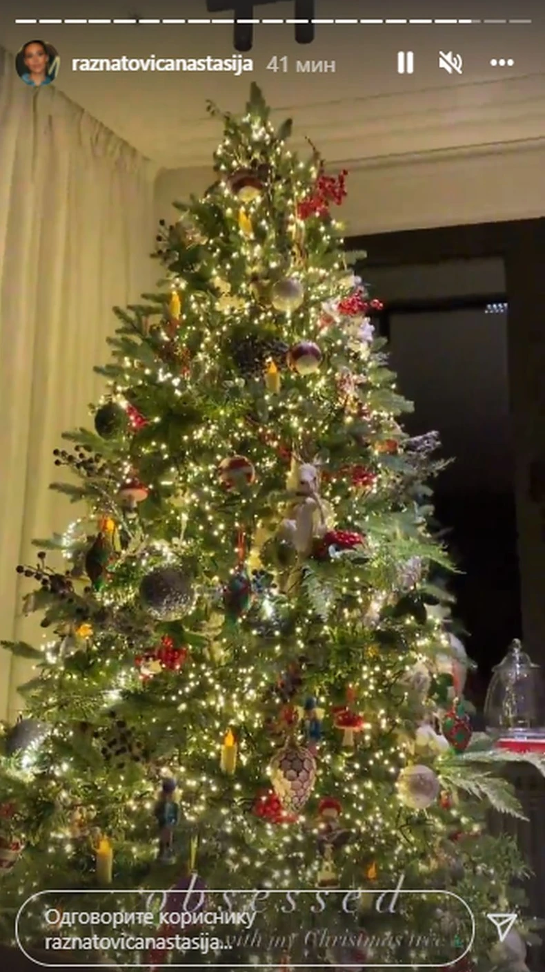 Anastasija Ražnatović 