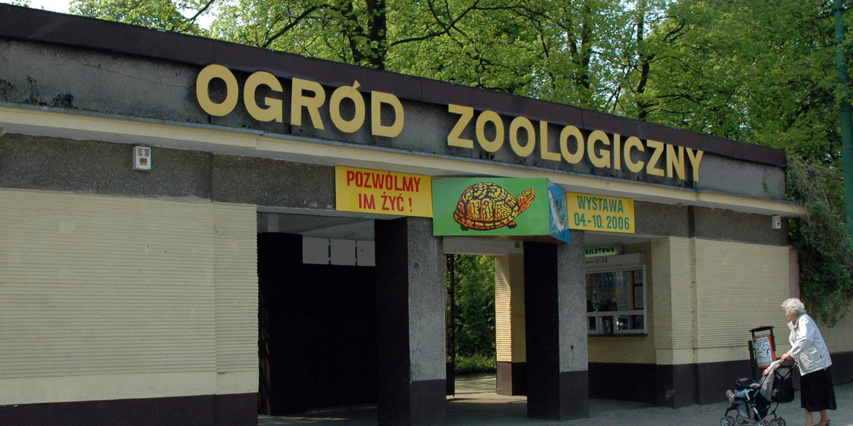 poznań zoo