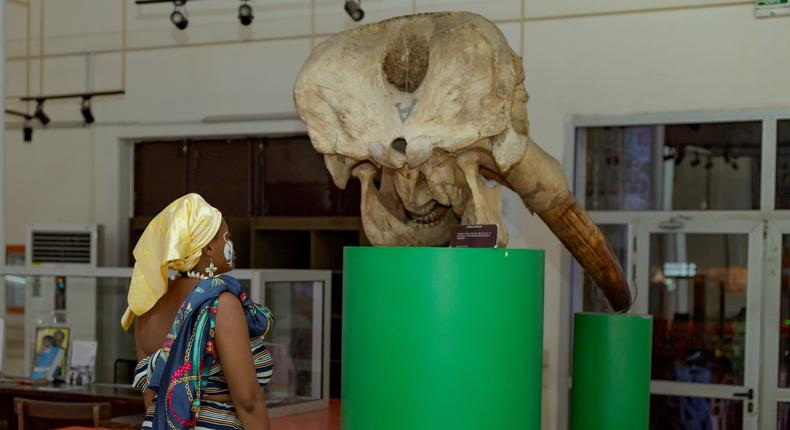 Une nuit au musée : Les ivoiriens ont été autorisés à visiter le musée des civilisations la nuit/The Kla