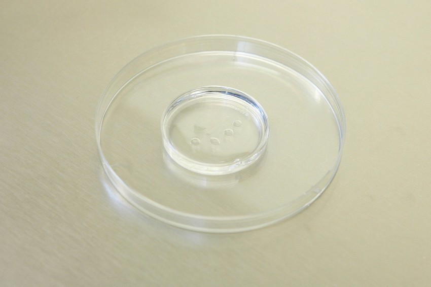 Seme je automatski odbačeno kao nekvalitetno