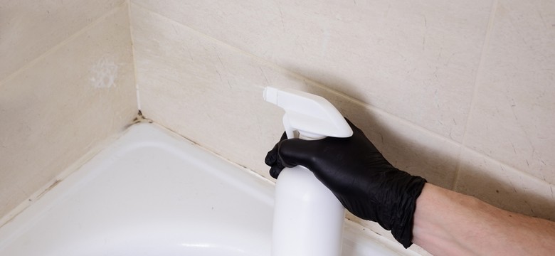 Jak skutecznie usunąć pleśń w łazience? Domowe i profesjonalne sposoby