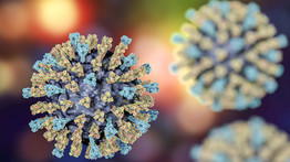 Szlovákia lépett a koronavírus terjedése miatt