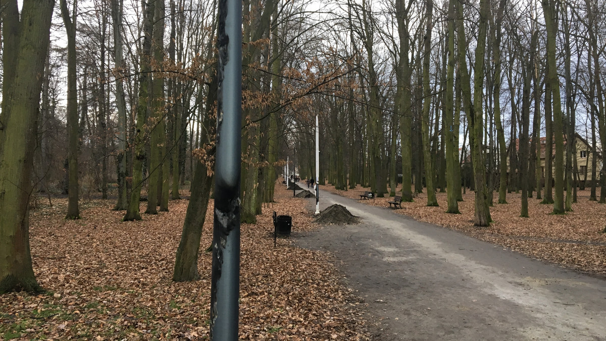 Kilka dni temu ktoś podpalił nowe latarnie, które od grudnia są montowane wzdłuż alei Romera w parku Grabiszyńskim. Sprawcy szuka policja. Montaż oświetlenia w parku to jeden ze zwycięskich projektów WBO z 2016 roku.