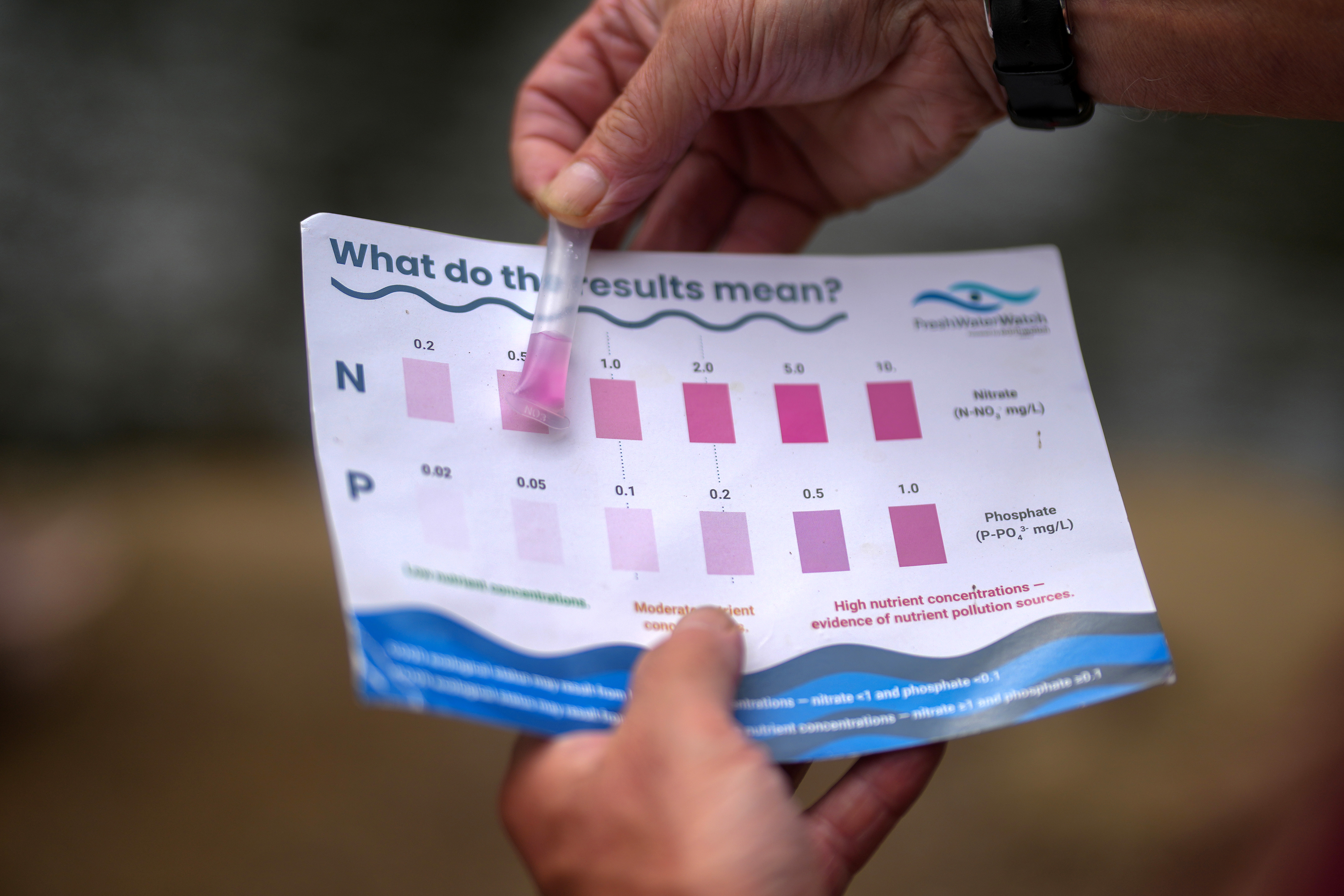 Sentido neurobiótico: comunicación cerebro-intestino