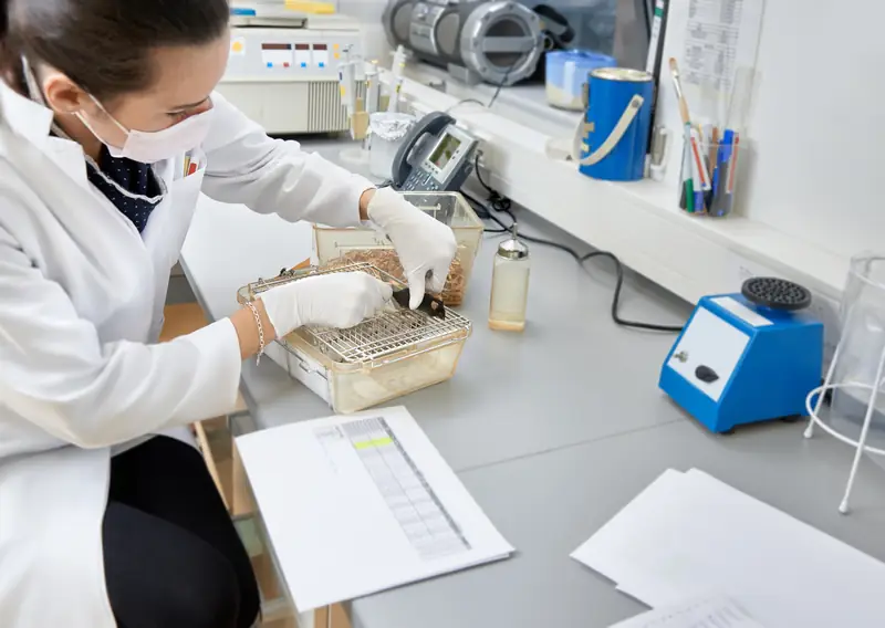 Testowanie kosmetyków na zwierzętach / Getty Images / anyaivanova