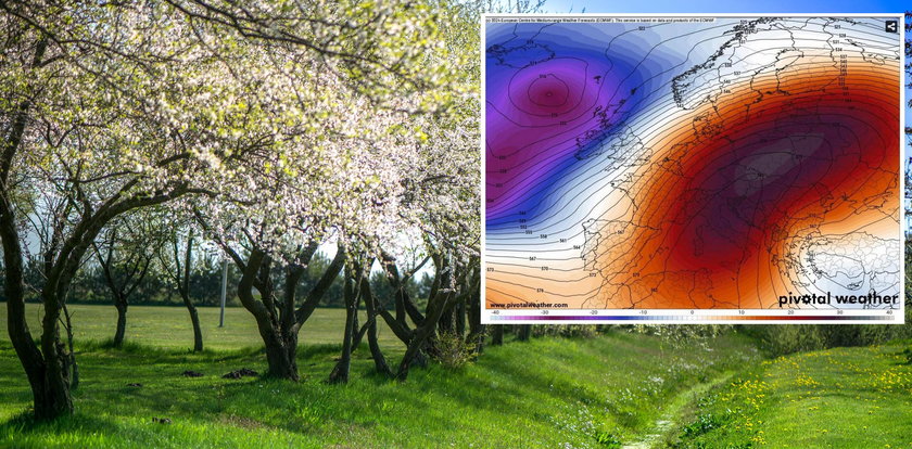 Bomba ciepła znad Afryki zbliża się do kraju. Temperatury "podskoczą do nieba"