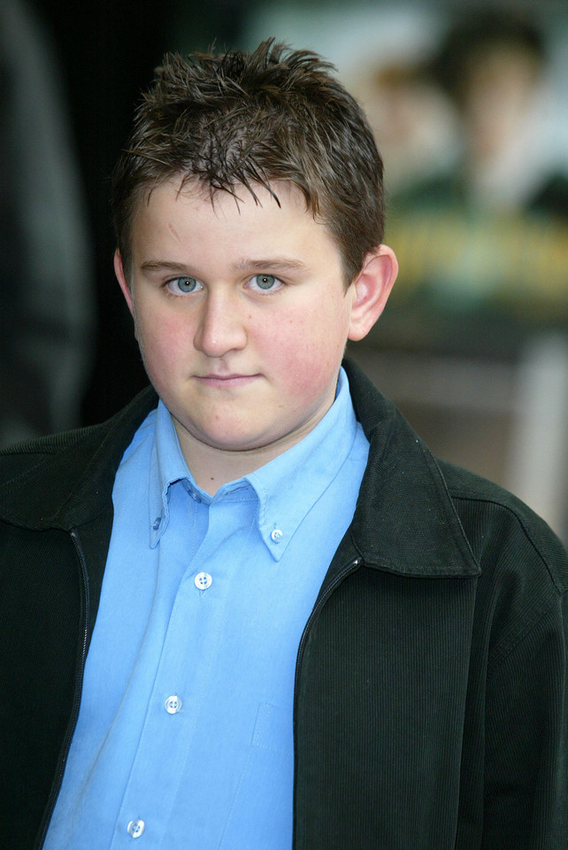 Harry Melling (Dudley Dursley)