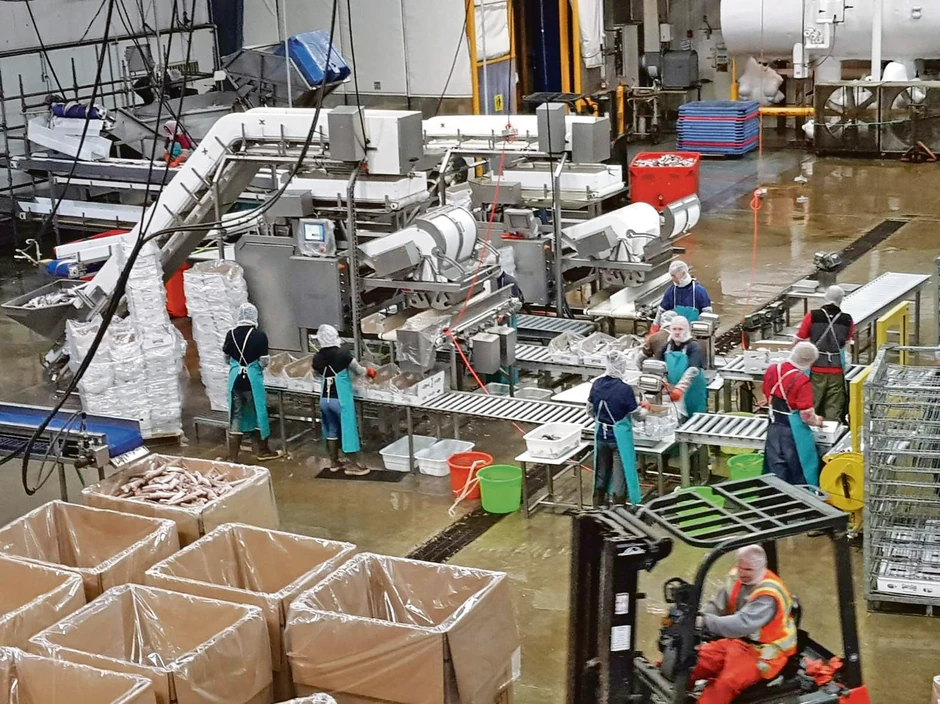 vladimir tripkovic fabrika za preradu ribe