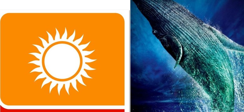 Polsat przerwał emisję filmu "Życie Pi". Widzowie oburzeni, stacja przeprasza