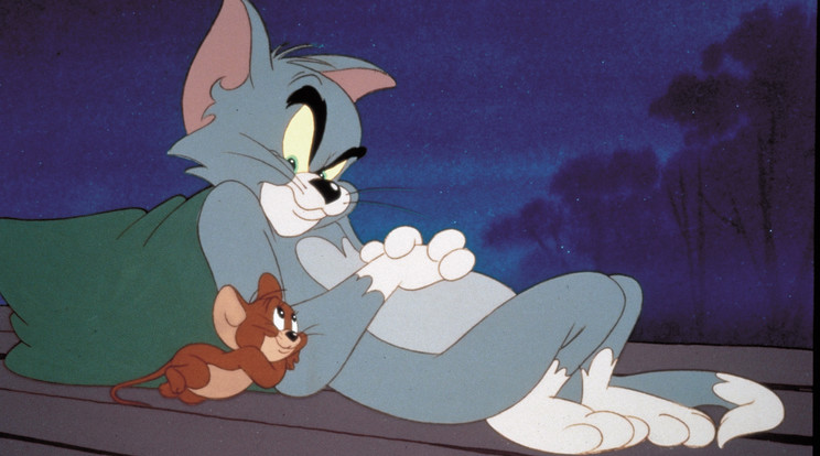 Tom és Jerry / Fotó: Northfoto