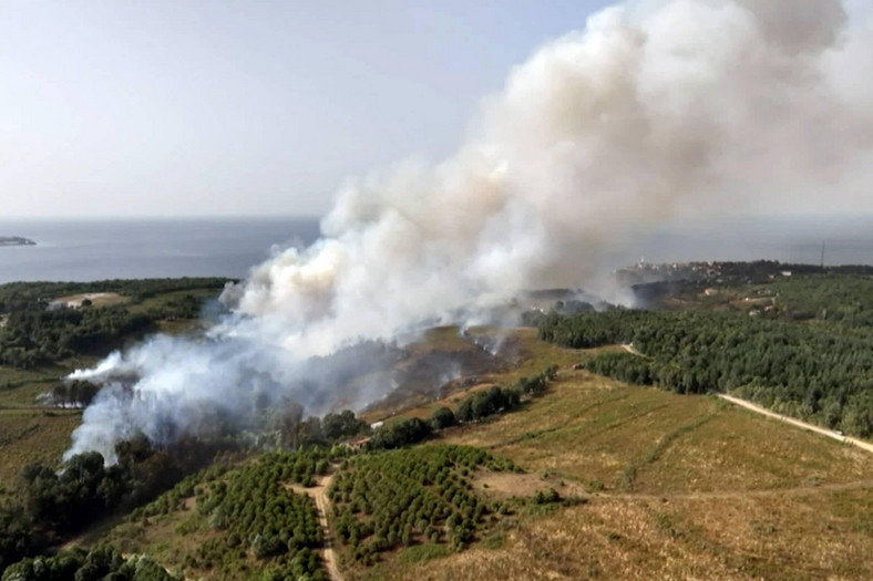 Ogień w rejonie Stambułu w Turcji
