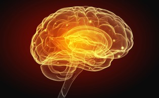 Transfer umiejętności z jednego mózgu do drugiego? Prof. Duch: Sztuczna inteligencja zmienia wszystko