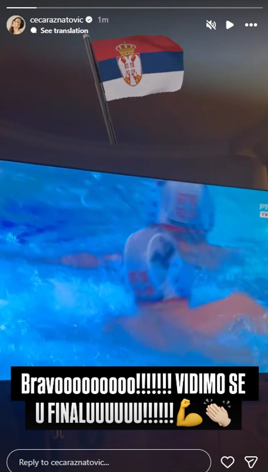 Ceca Ražnatović objava