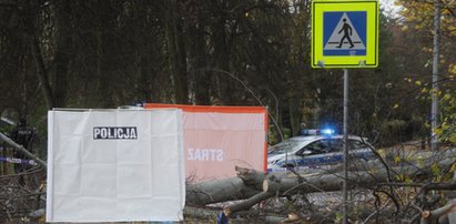 Tragiczny bilans wichury w Trójmieście [FILM]