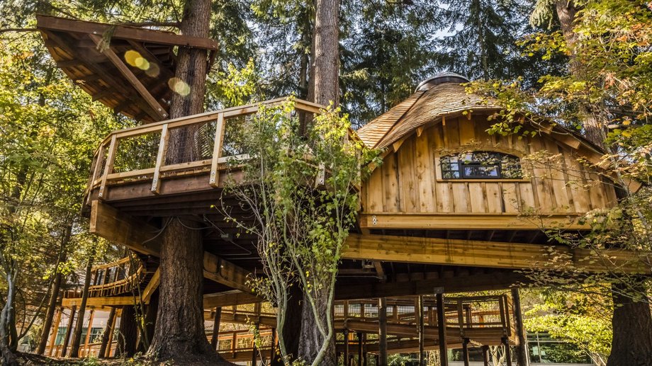 Tree House Office w firmie Microsoft