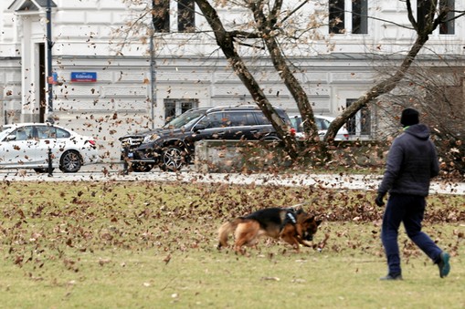 Straż pożarna w całym kraju odnotowała dotąd ponad 20 tys. zdarzeń. Ponad 1,2 mln gospodarstw domowych pozostaje bez prądu – poinformował w sobotę w Drawsku Pomorskim wiceminister spraw wewnętrznych i administracji Paweł Szefernaker.