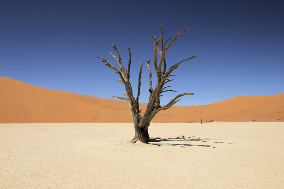 Park Narodowy Namib-Naukluft, Namibia