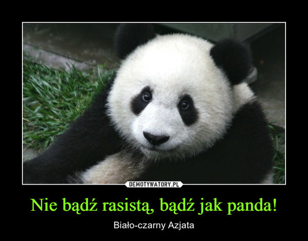 Najlepsze memy o pandach