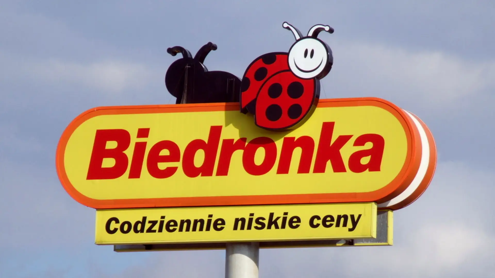 Biedronka zbiera używane ubrania i wspiera dzikie zwierzęta