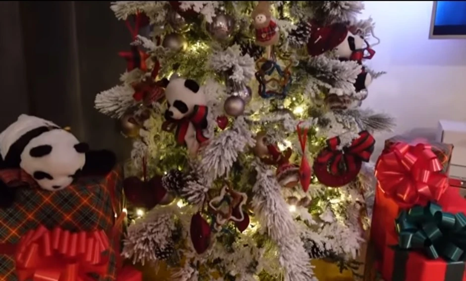 Marija Šerifović - nova jelka 