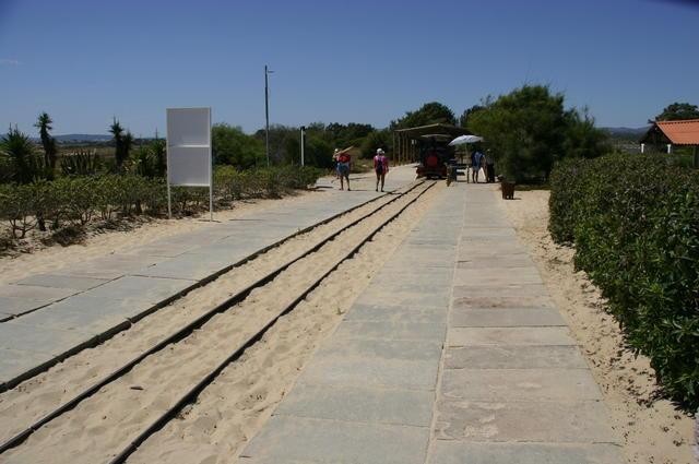 Galeria Portugalia - Algarve - Ria Formosa, obrazek 23