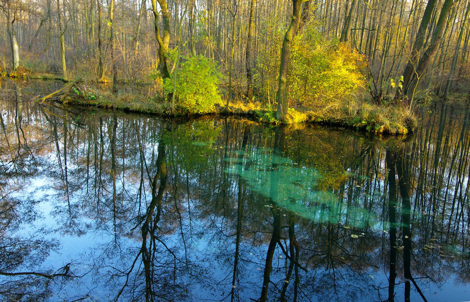 7 nowych cudów Polski 2013