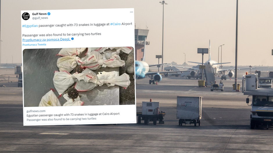 Przewoził w bagażu węże (fot. screen: twitter.com/@gulf_news)