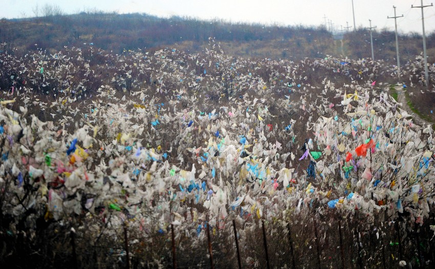 Zločin bez kazne: Preduzećima je često jeftinije da plate kaznu nego da sprovedu mere zaštite životne sredine. Za poslednje zagađenje u Boru kazna je bila 400.000 dinara, pa i ne čudi što zagađivači nastavljaju po starom